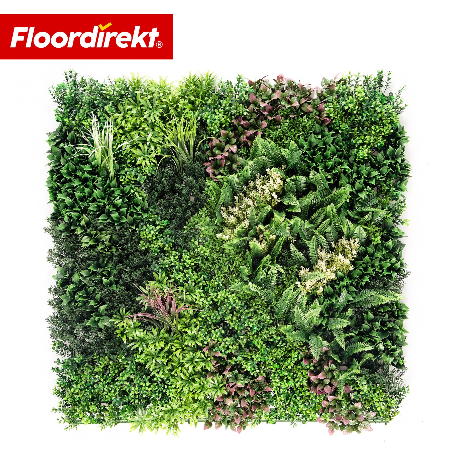 Pflanzenwand | Hera | Natürliches, pflegefreies Kunstpflanzen-Panel | Sonnenbeständig & erweiterbar mit Klick-System | 100 × 100 cm